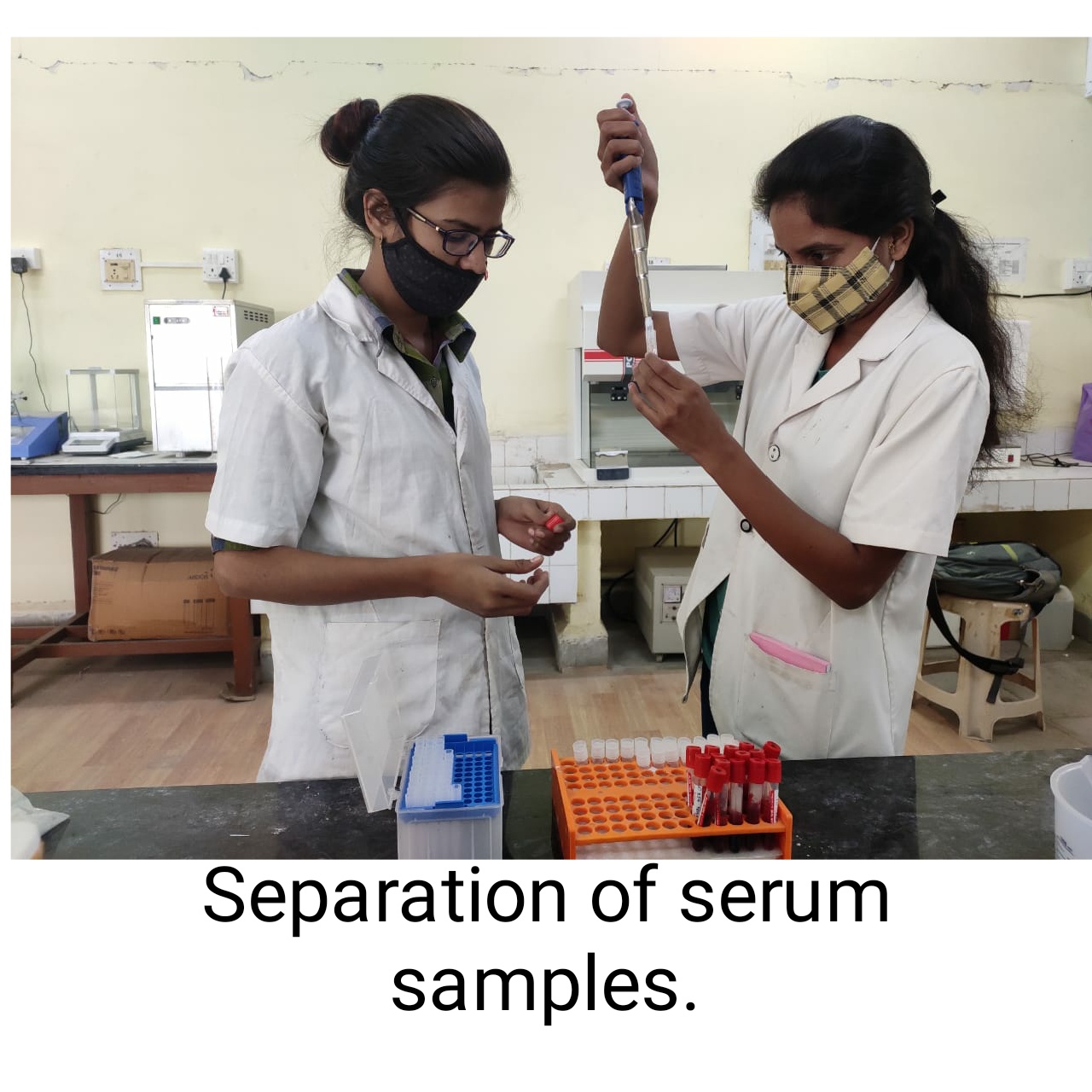 Separation Of Serum Sample
